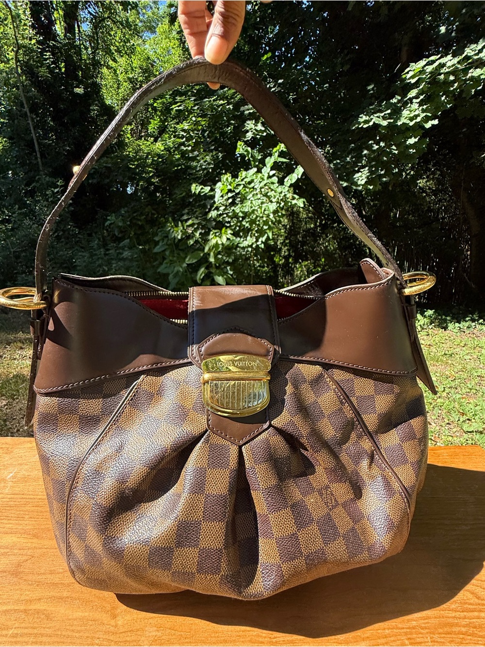 Louis Vuitton Brown Damier Ebene Shoulder Hobo with Gold Hardware